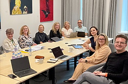 The PULSE team met to discuss the progress of the ongoing project